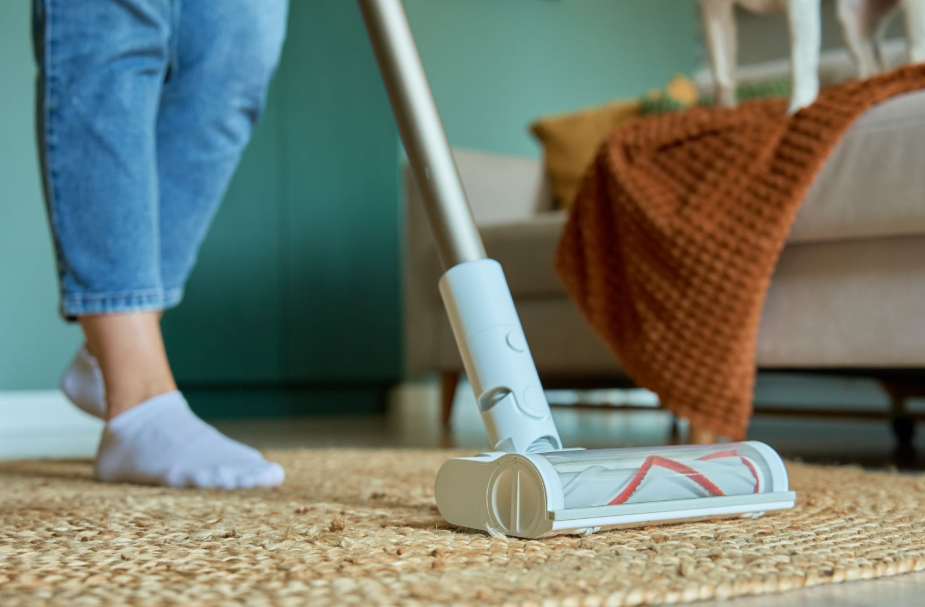 vacuum-living-room-carpet.png