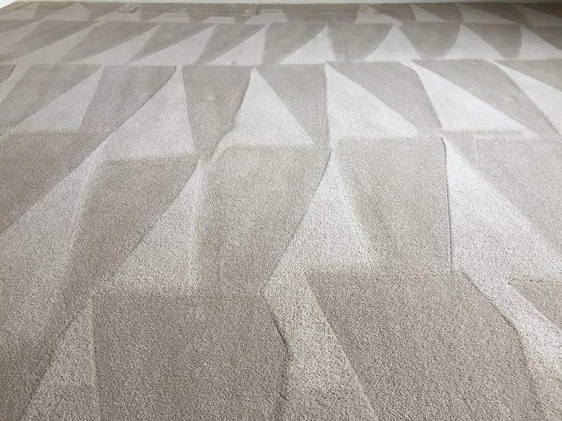 cleaned-carpet.jpeg