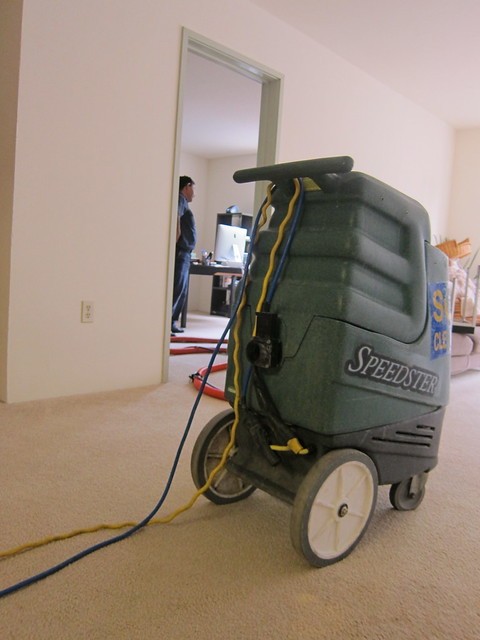 cost-of-carpet-cleaning.jpeg