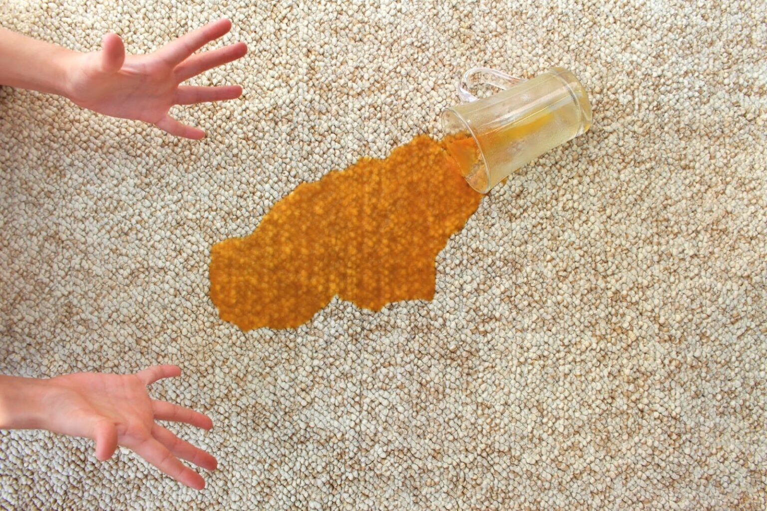 stain-on-carpet-1536x1023.jpg