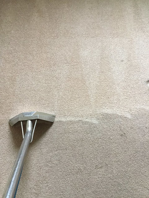 DIY-carpet-cleaning-shampoo.jpeg