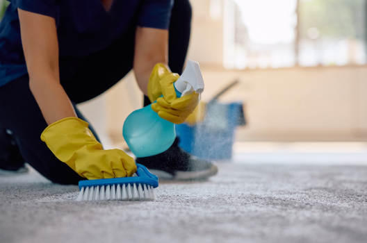 step-by-step-on-how-to-spot-clean-carpet-by-hand.png